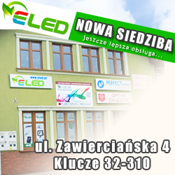 sklep z ledami